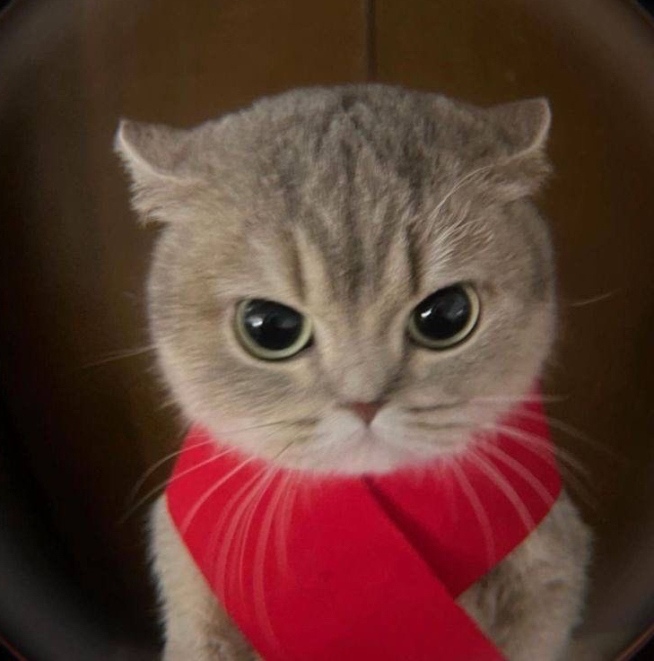 작성자 프로필 이미지