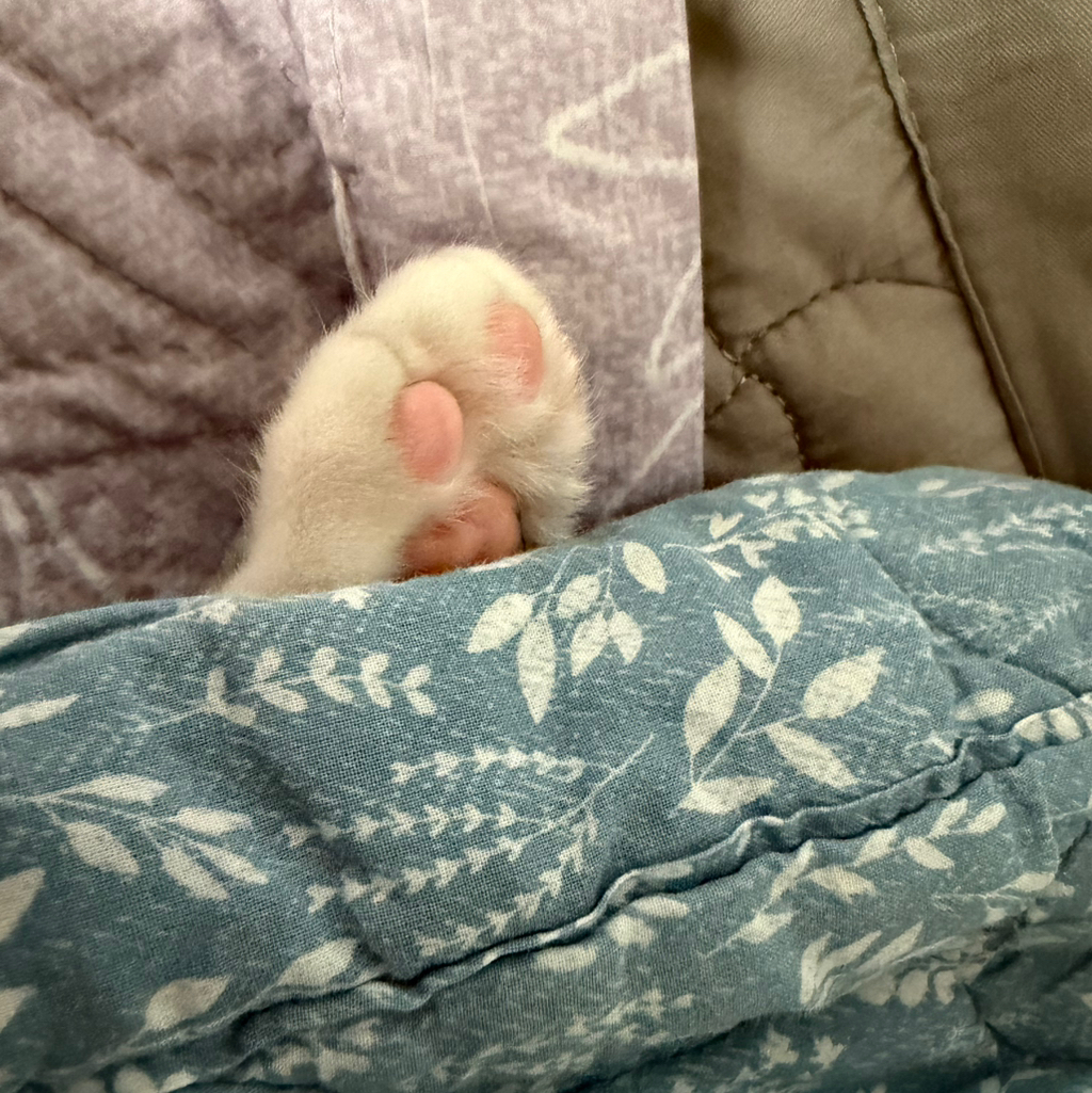 작성자 프로필 이미지