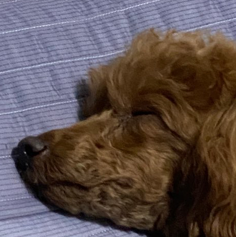 작성자 프로필 이미지