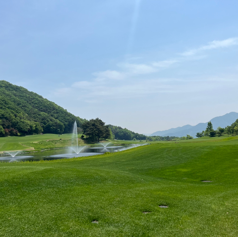 작성자 프로필 이미지