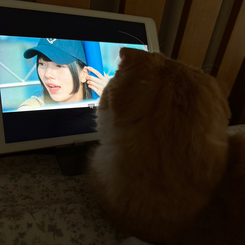 작성자 프로필 이미지