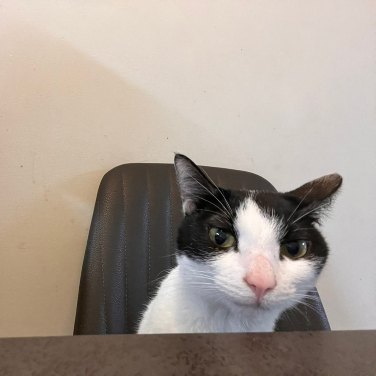 작성자 프로필 이미지