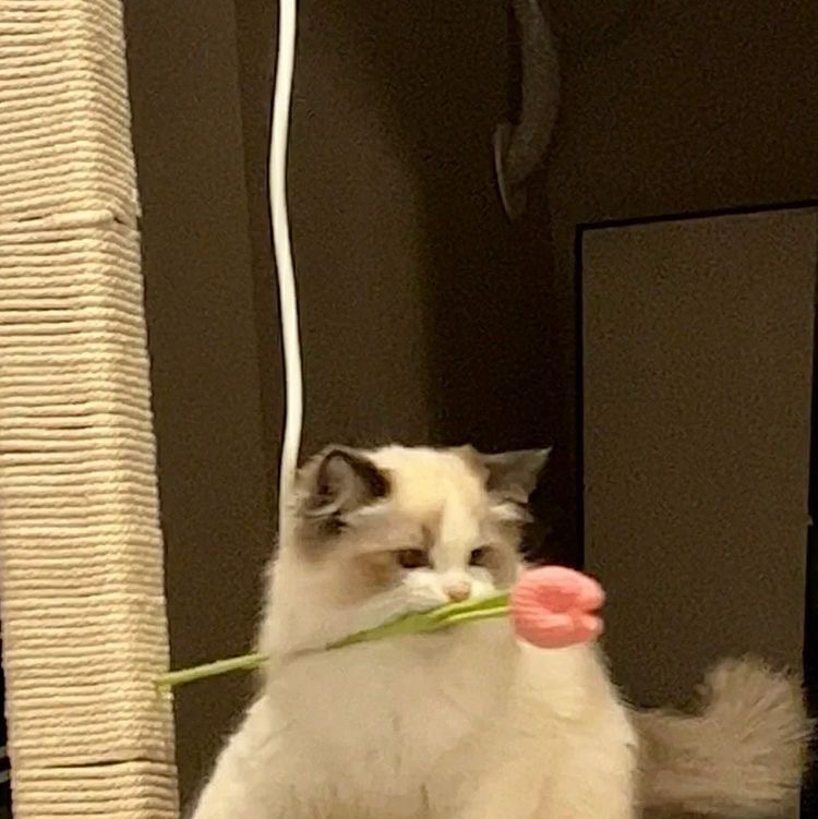 작성자 프로필 이미지
