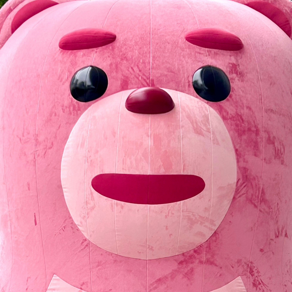 작성자 프로필 이미지