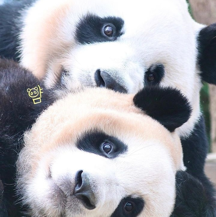 테이블 소개 이미지