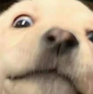 테이블 소개 이미지