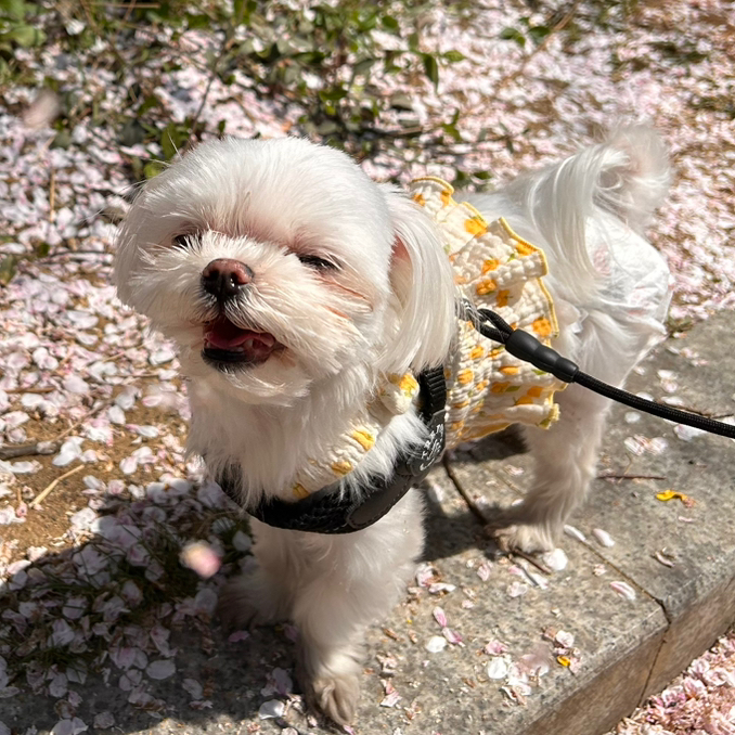 테이블 대표이미지