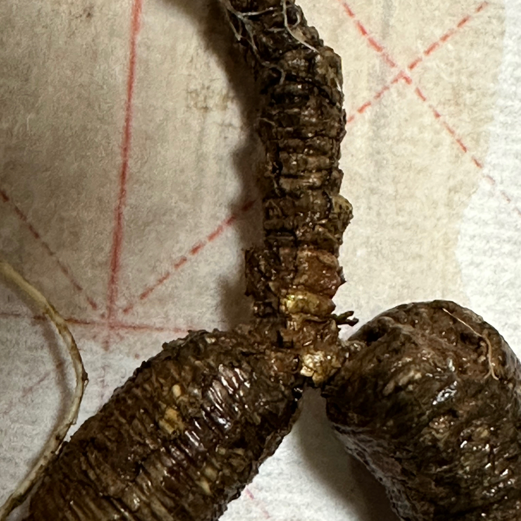 테이블 소개 이미지