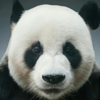 작성자 프로필 이미지