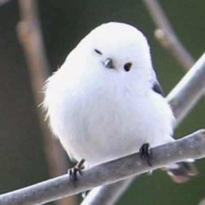 작성자 프로필 이미지