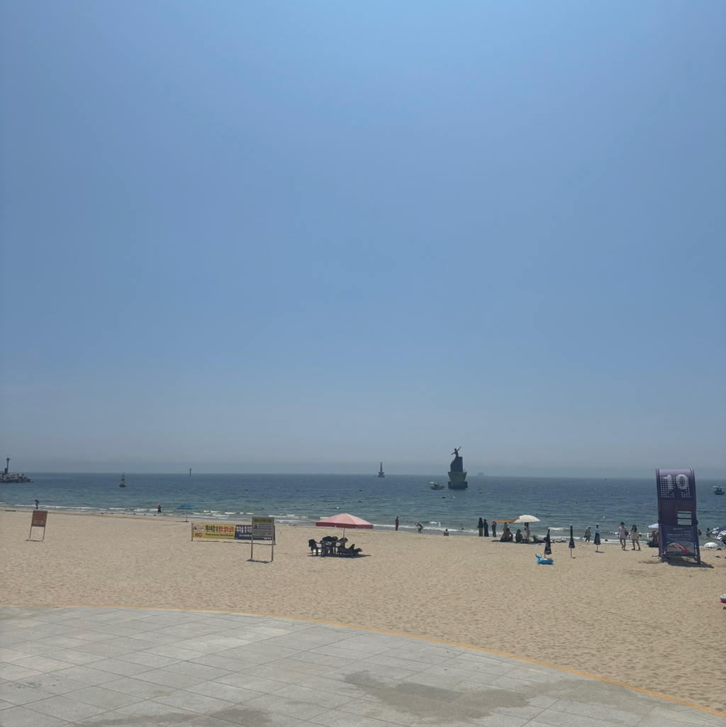 작성자 프로필 이미지