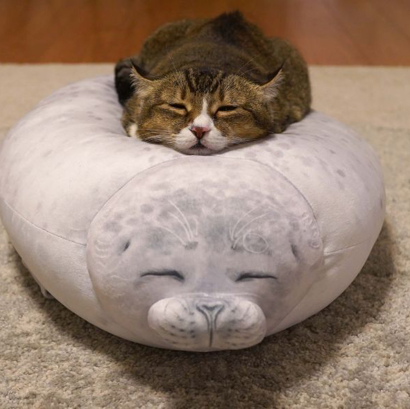 작성자 프로필 이미지