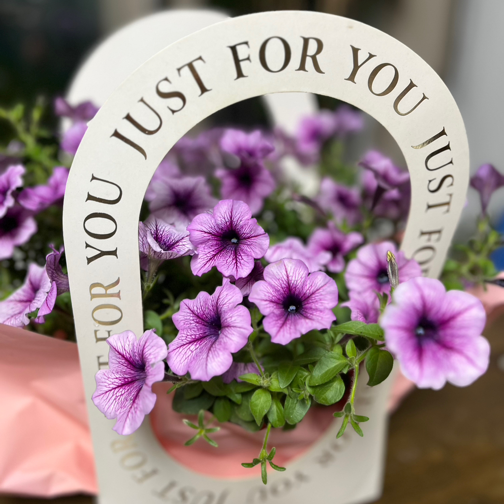 테이블 소개 이미지