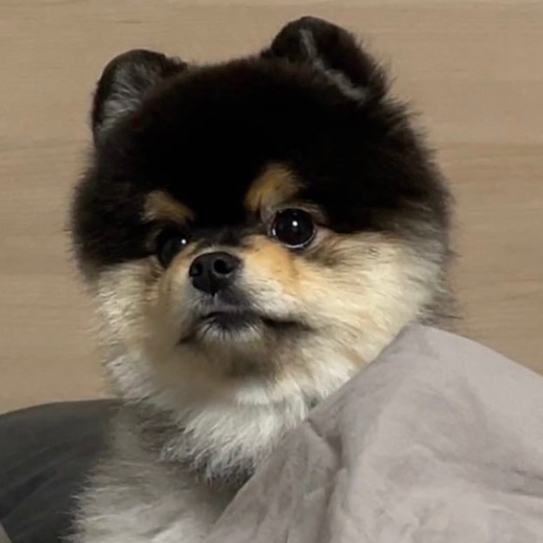 작성자 프로필 이미지