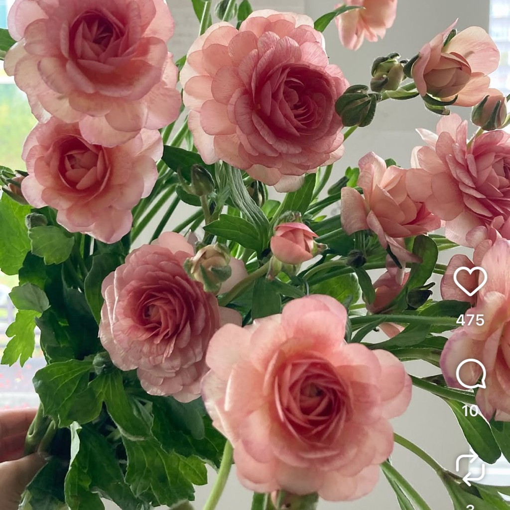 작성자 프로필 이미지