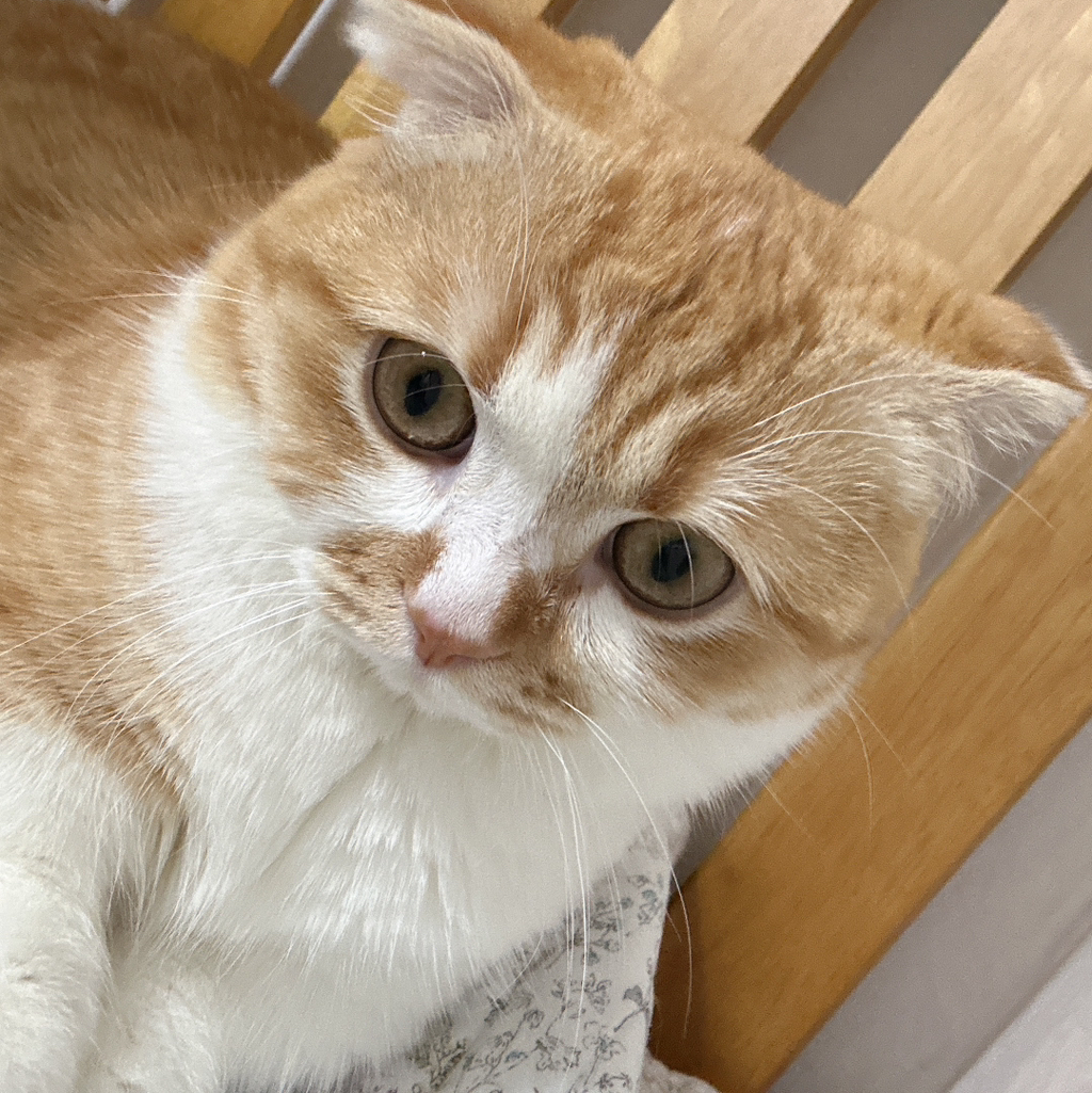 테이블 소개 이미지