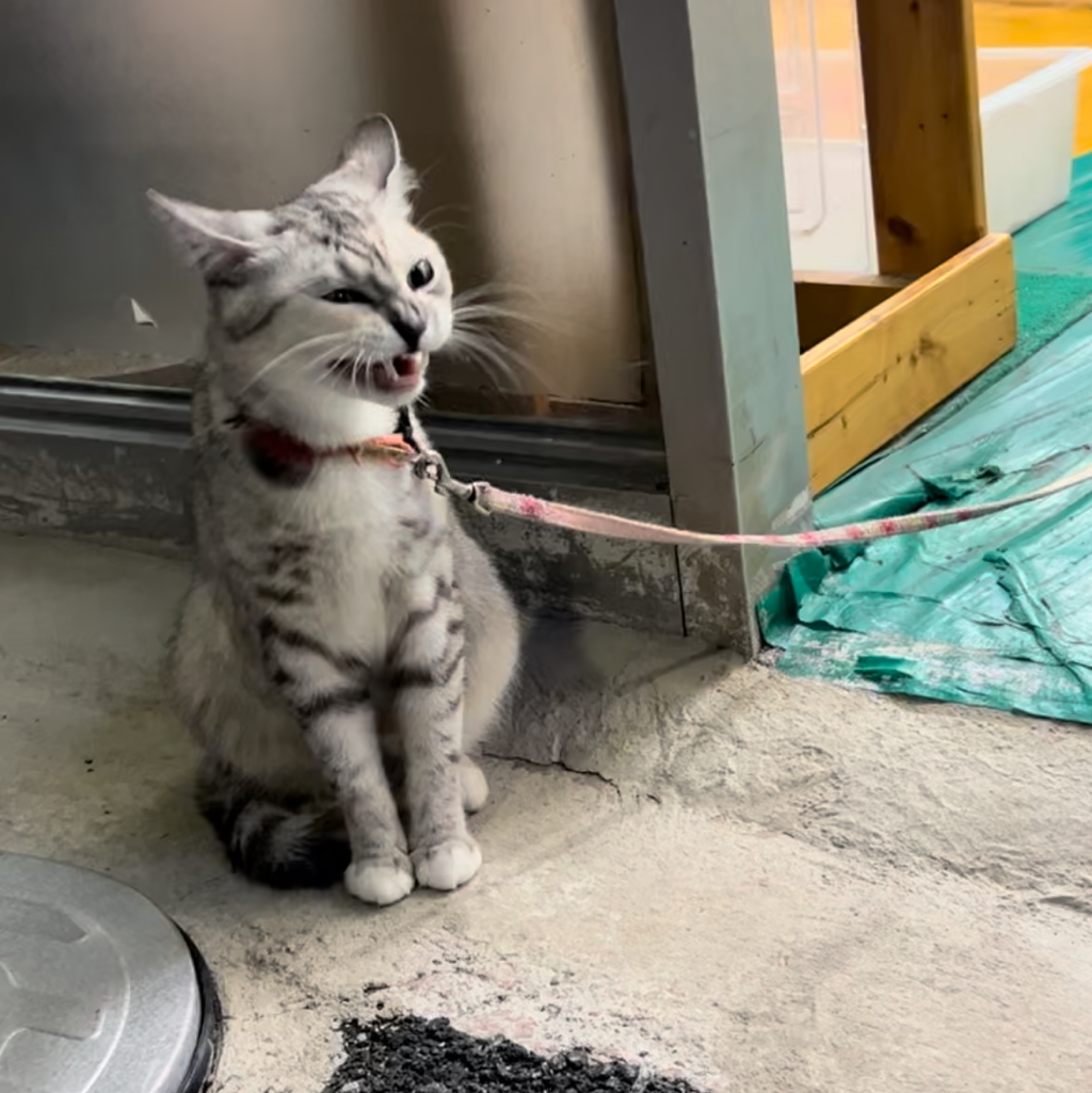 작성자 프로필 이미지