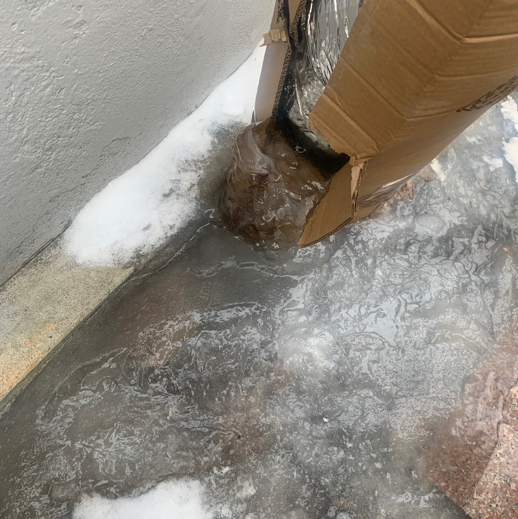 작성자 프로필 이미지