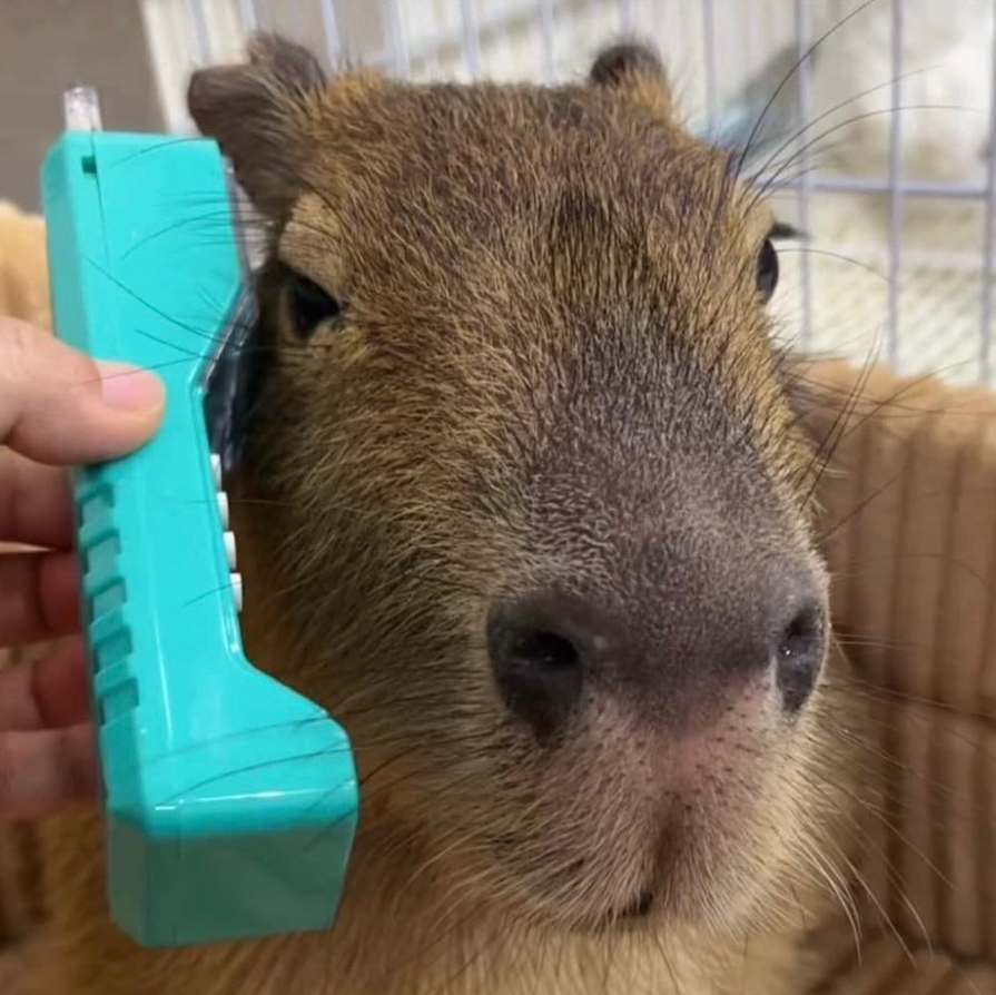 테이블 소개 이미지