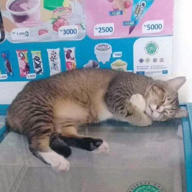 작성자 프로필 이미지