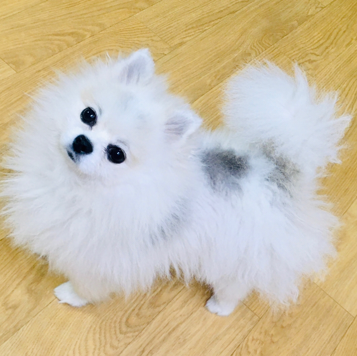 작성자 프로필 이미지