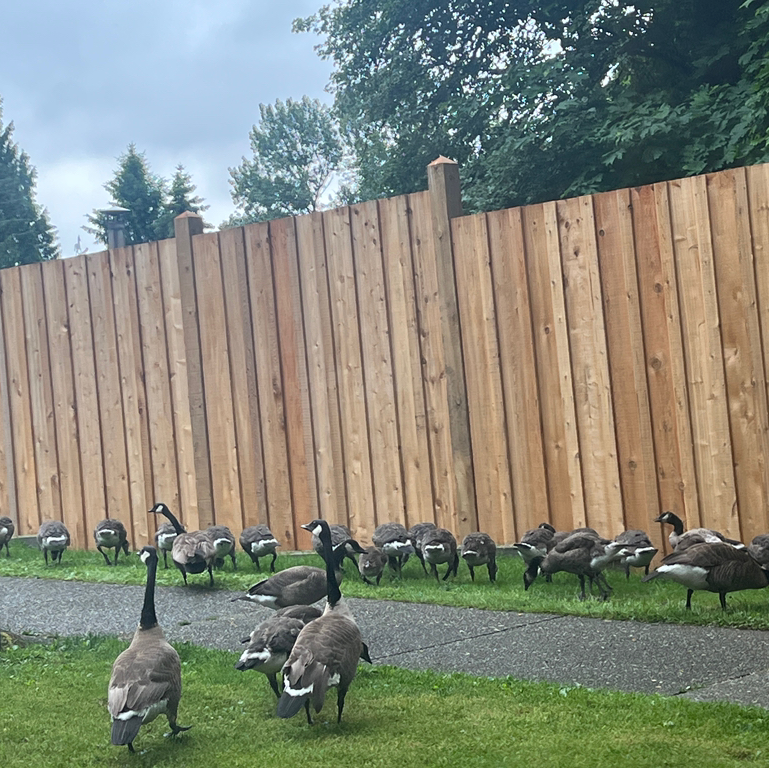 테이블 소개 이미지