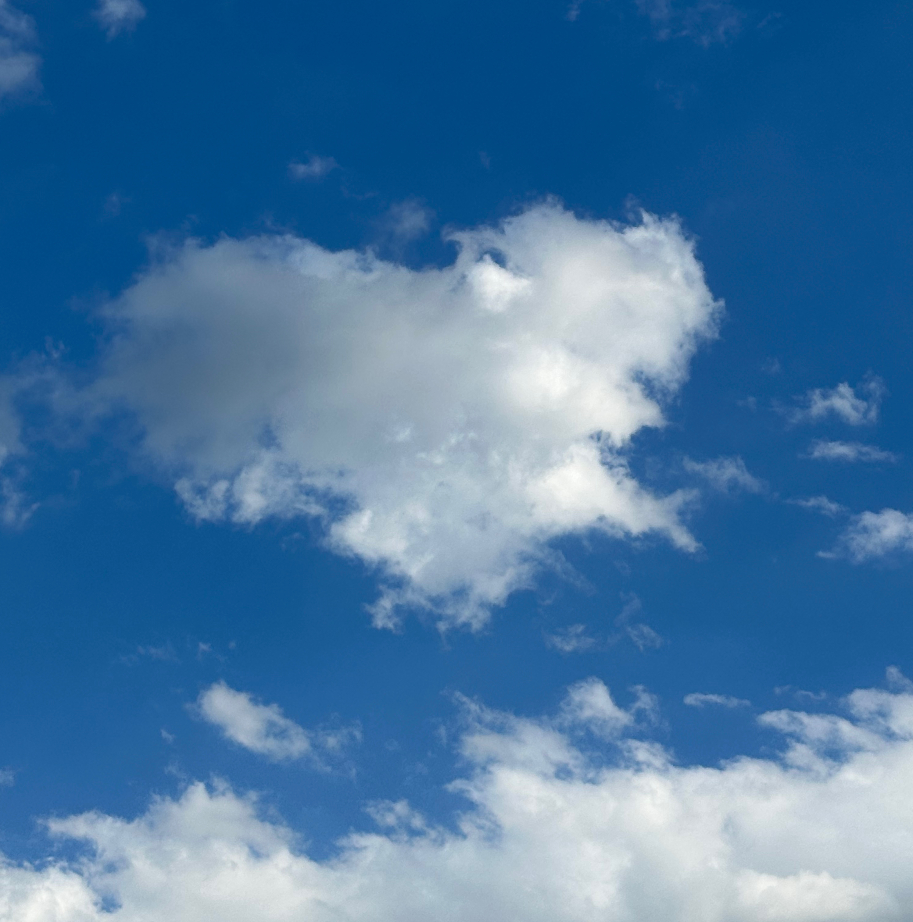 작성자 프로필 이미지