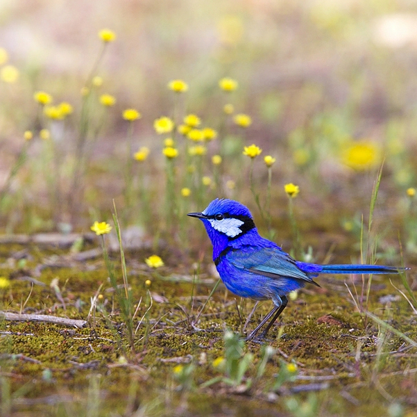 작성자 프로필 이미지