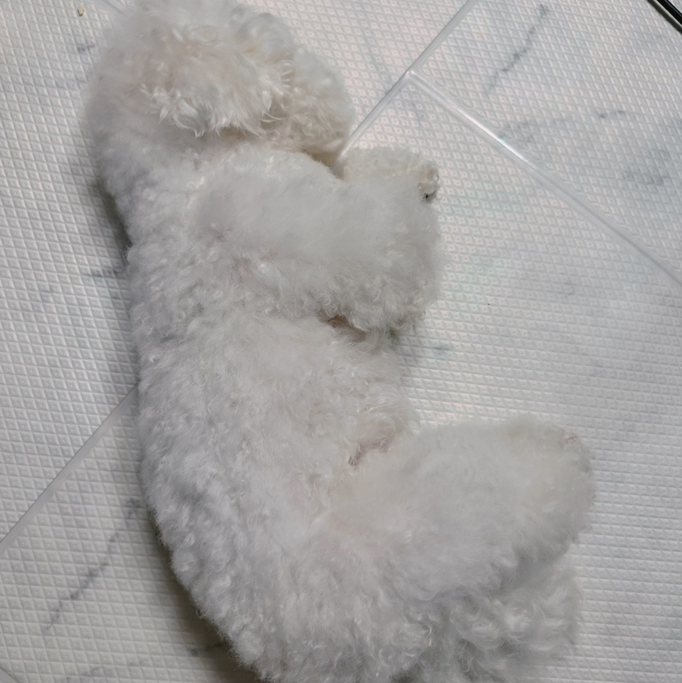 작성자 프로필 이미지