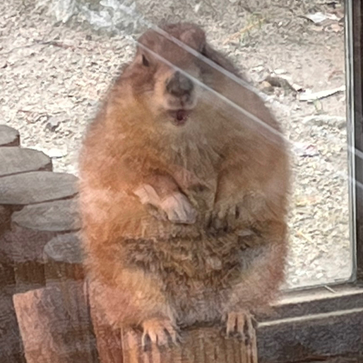 작성자 프로필 이미지