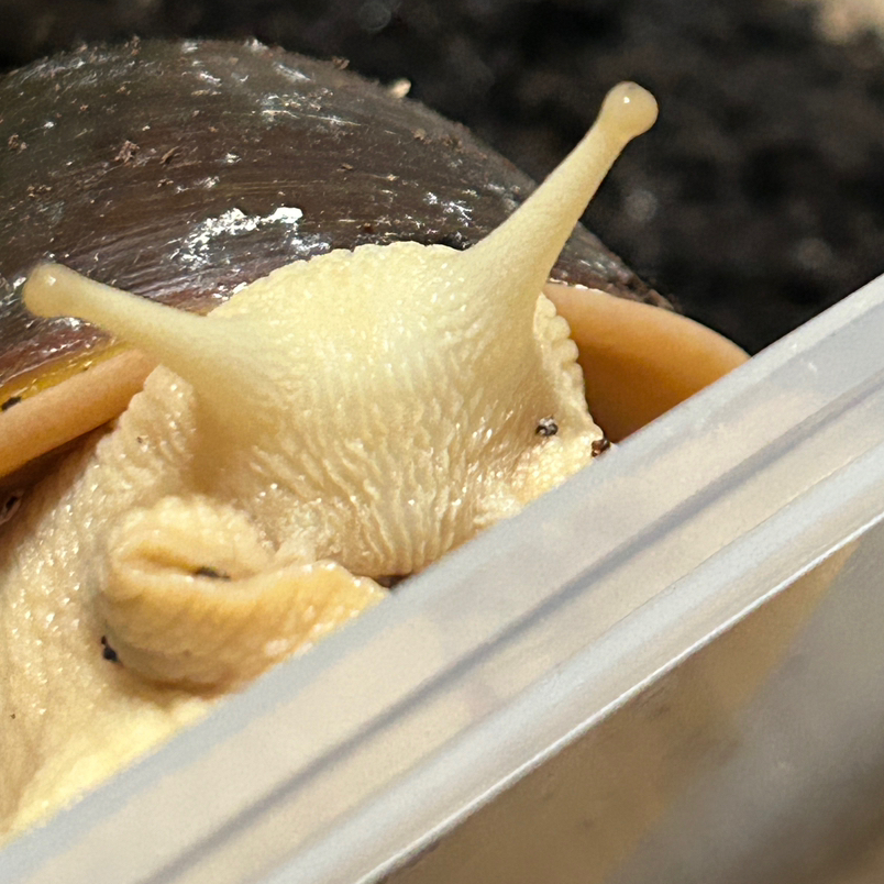 테이블 소개 이미지