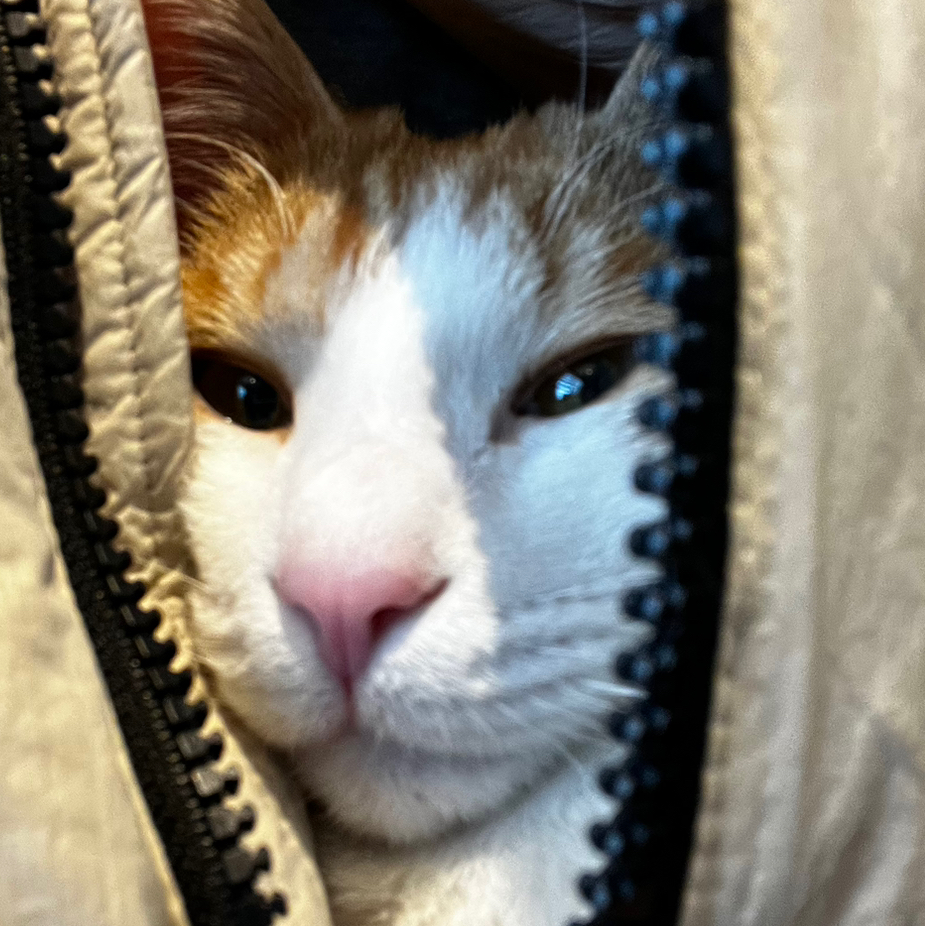 작성자 프로필 이미지