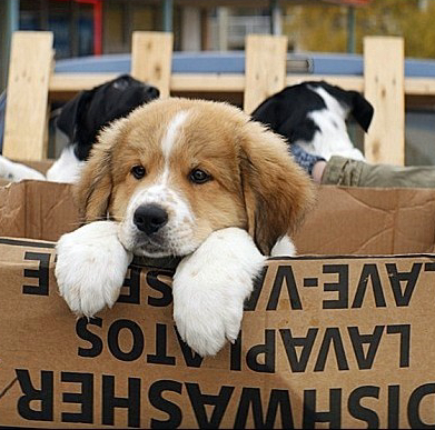 테이블 소개 이미지