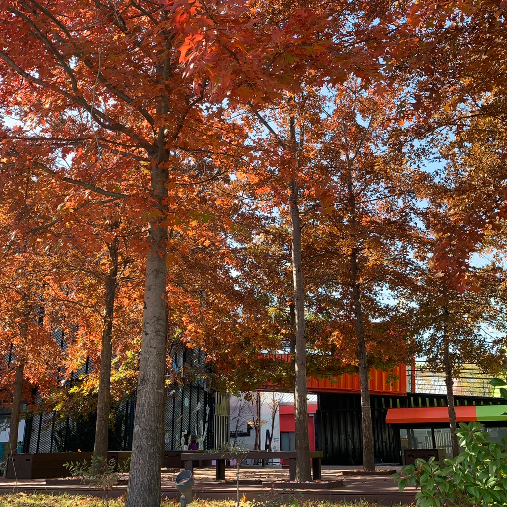 작성자 프로필 이미지