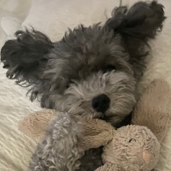 테이블 소개 이미지