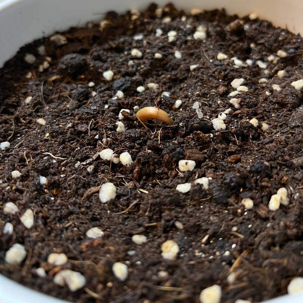 작성자 프로필 이미지