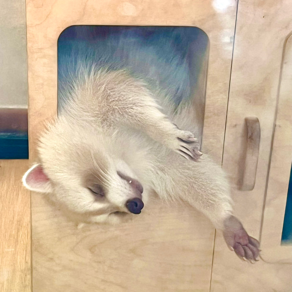 작성자 프로필 이미지