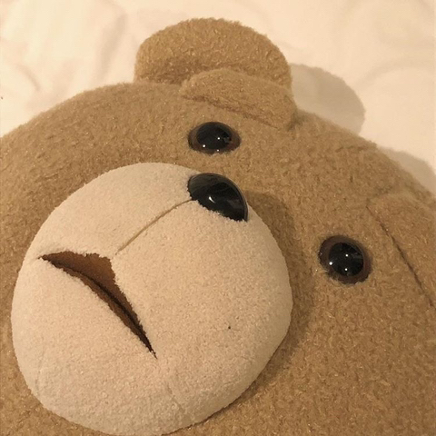 작성자 프로필 이미지