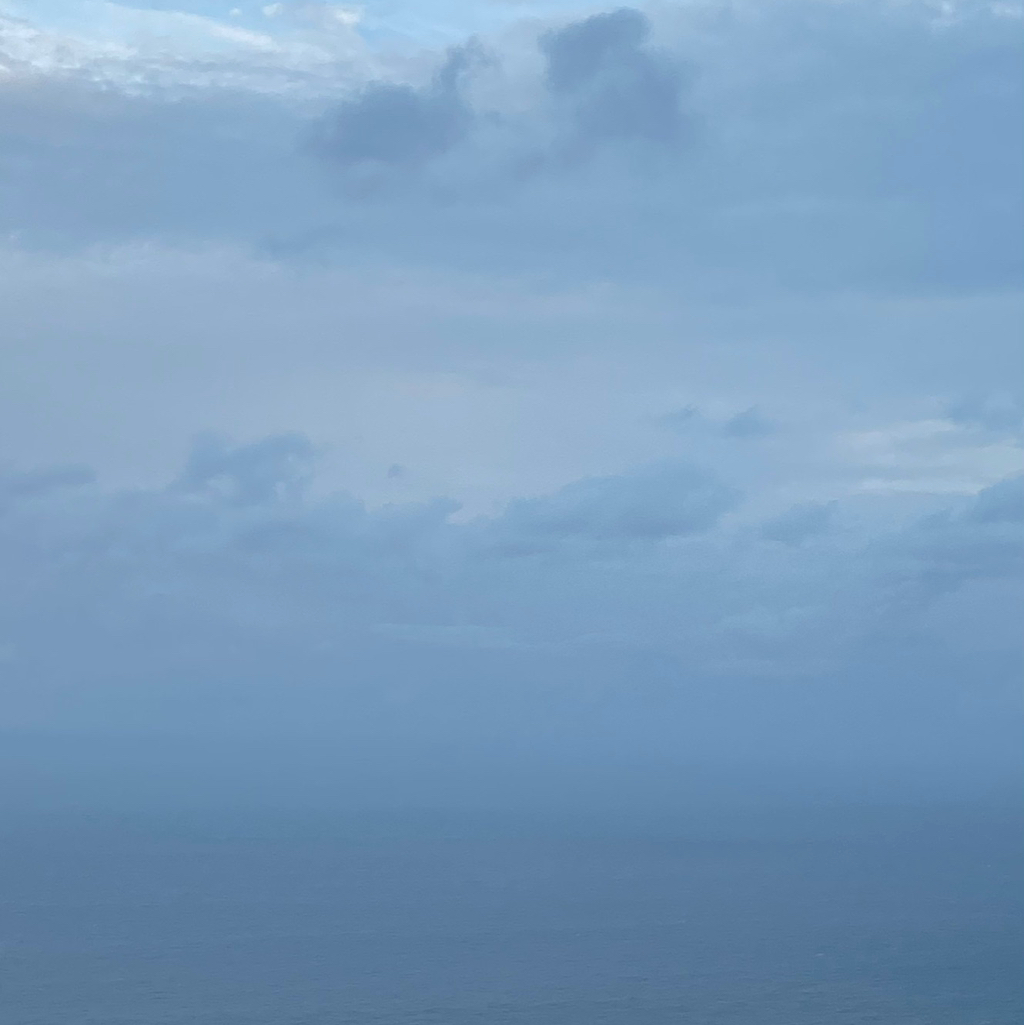 zxcv 프로필 이미지