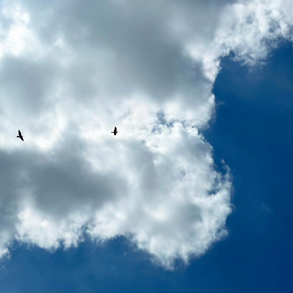 작성자 프로필 이미지