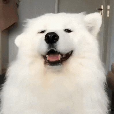 테이블 소개 이미지