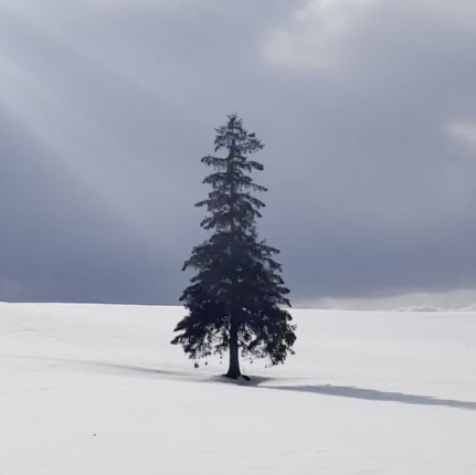 테이블 소개 이미지