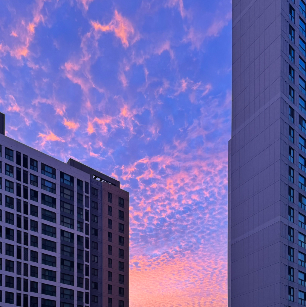 작성자 프로필 이미지