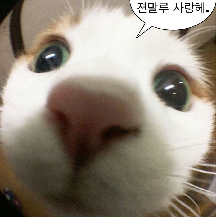 작성자 프로필 이미지