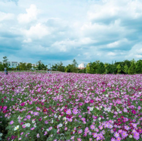 테이블 소개 이미지