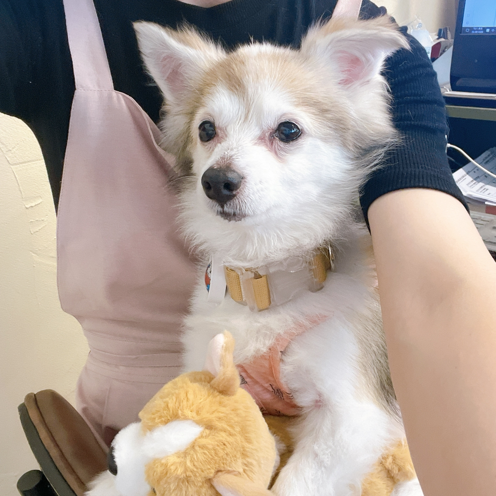 테이블 소개 이미지