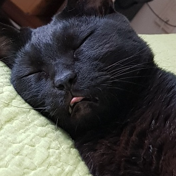 작성자 프로필 이미지