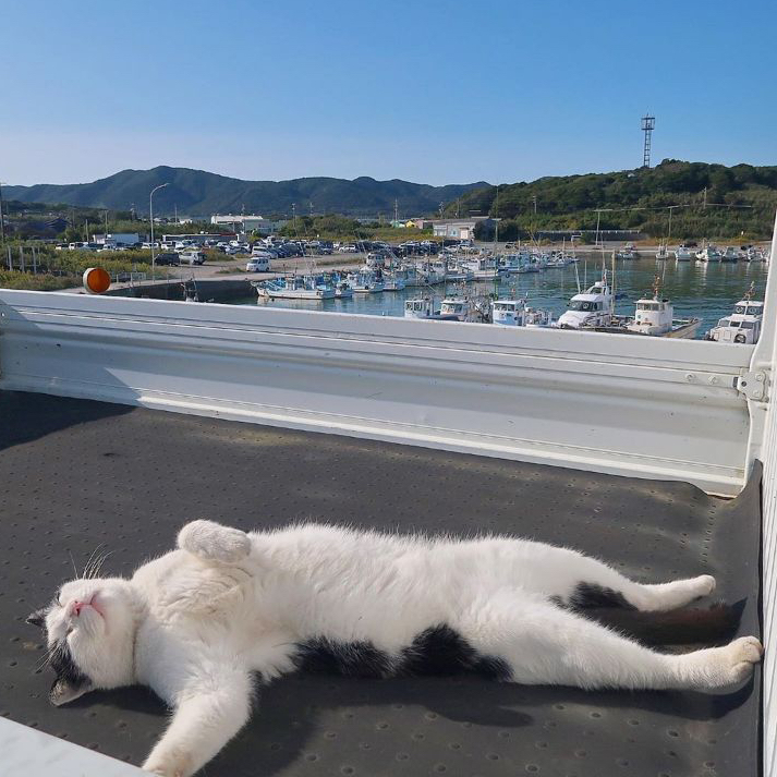 작성자 프로필 이미지