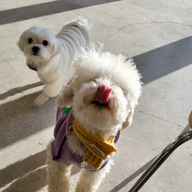 테이블 소개 이미지