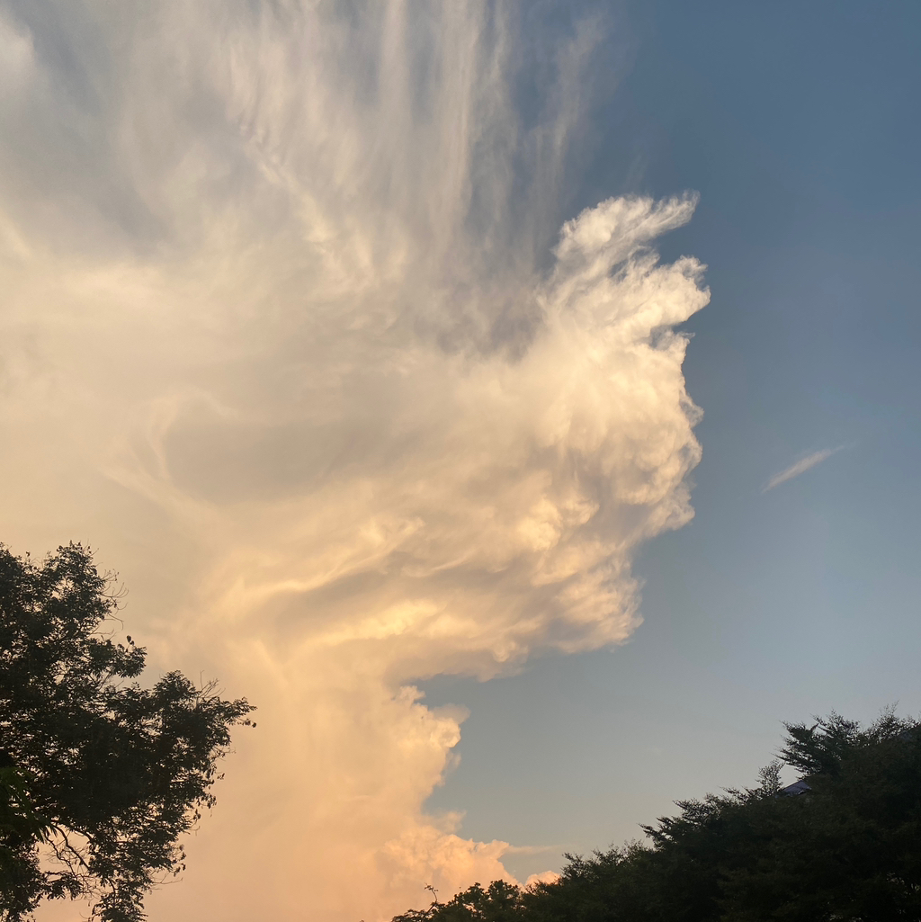 테이블 소개 이미지